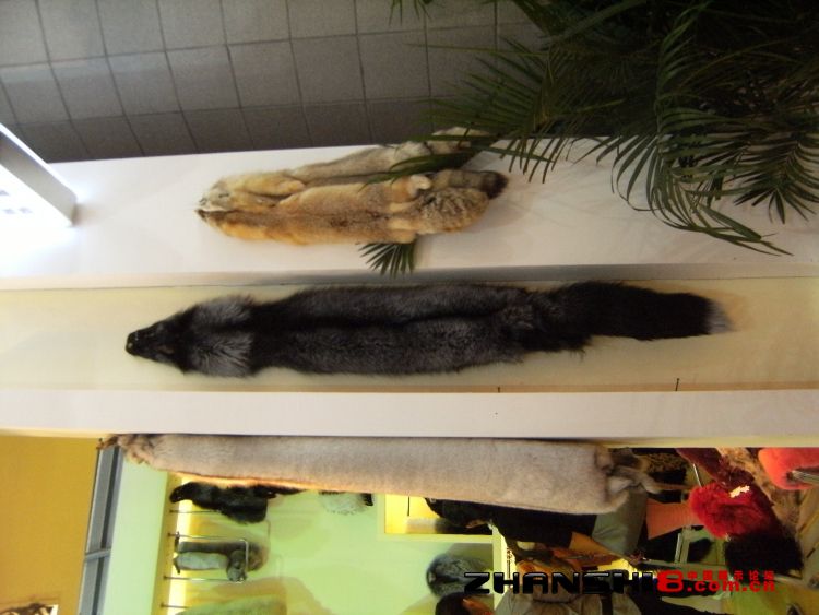 DSCF8647.JPG