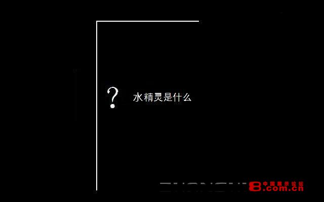1318819928.jpg