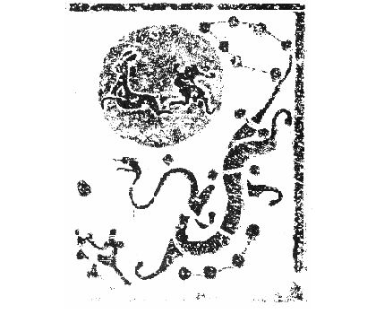 CLW9.jpg