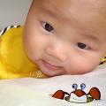 10061312477b86ab39efc9b2e5.jpg
